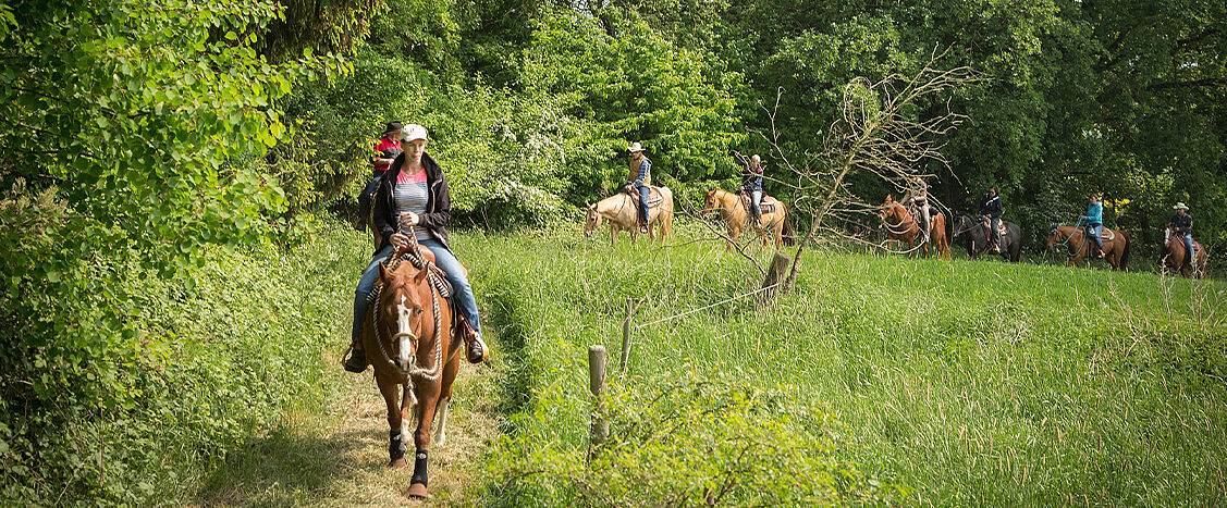 Mehrere Personen reiten in einer Reihe auf Pferden über einen schmalen Grasweg durch eine grüne Wiesen- und Waldlandschaft. Im Vordergrund reitet eine Person auf einem braunen Pferd, dahinter folgen weitere Reiterinnen und Reiter.