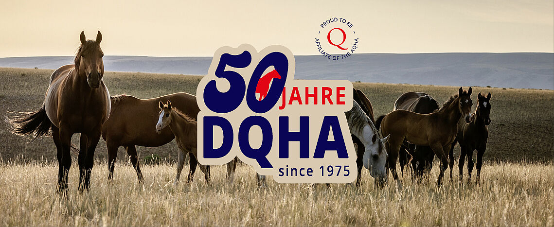 Mehrere Pferde stehen in einer offenen Graslandschaft. Darüber liegt der Schriftzug „50 Jahre DQHA since 1975“ sowie das Siegel „Proud to be affiliate of the AQHA“.