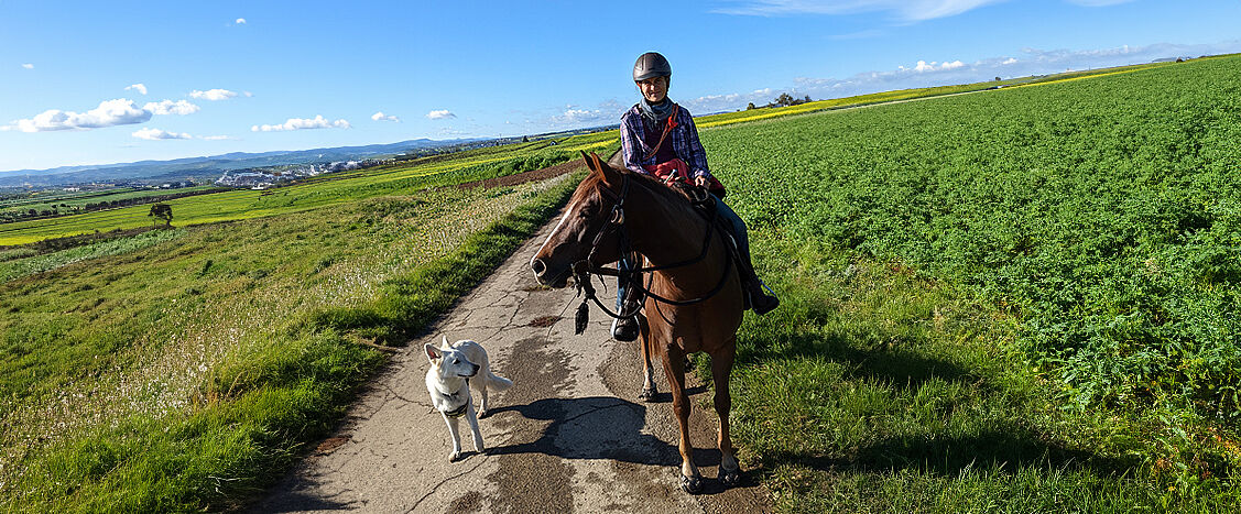 Eine Reiterin sitzt entspannt auf ihrem Pferd auf einem schmalen Feldweg, begleitet von einem weißen Hund, der neben ihnen herläuft. Weite grüne Felder und ein klarer blauer Himmel verleihen der Szene eine ruhige, offene Landschaftsatmosphäre.