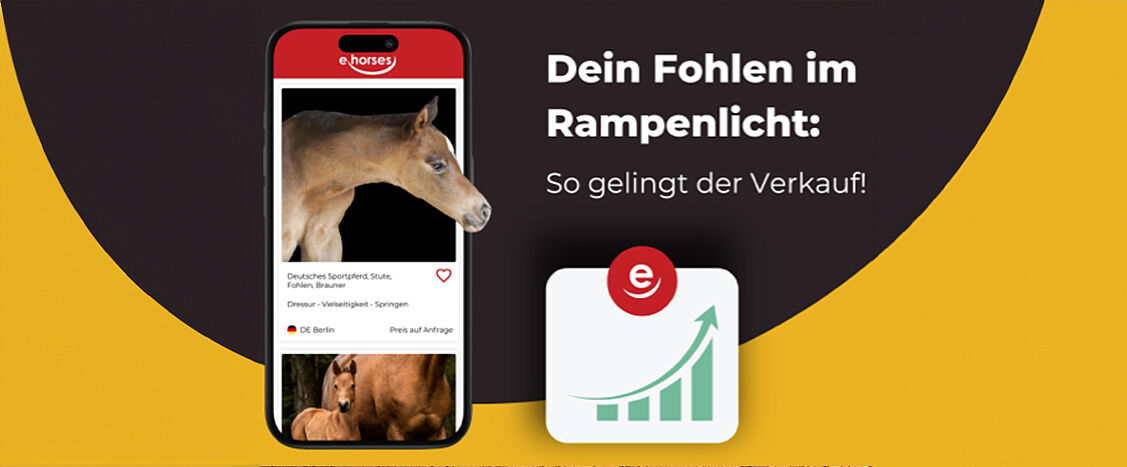 Eine Werbegrafik mit einem Smartphone auf der linken Seite, auf dessen Bildschirm ein Fohlen in einer Verkaufsanzeige zu sehen ist.  Rechts steht der Text „Dein Fohlen im Rampenlicht: So gelingt der Verkauf!“.  Daneben ist ein Symbol mit einem roten „e“-Logo und einem ansteigenden Diagramm zu sehen, das steigenden Erfolg oder Verkauf signalisiert.