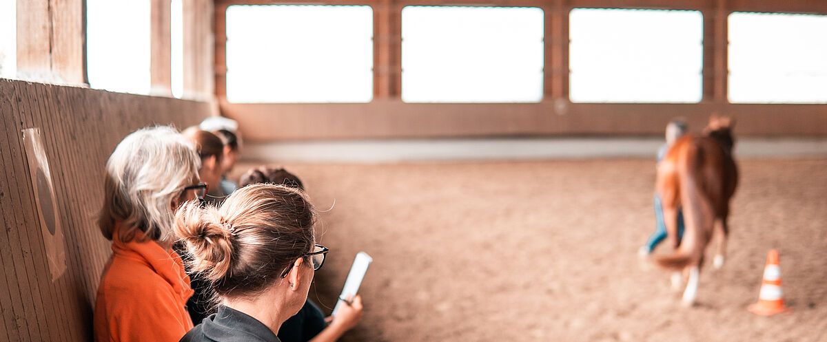Personen beobachten ein Pferd in einer Reithalle während einer praktischen Bewertung oder Schulung.