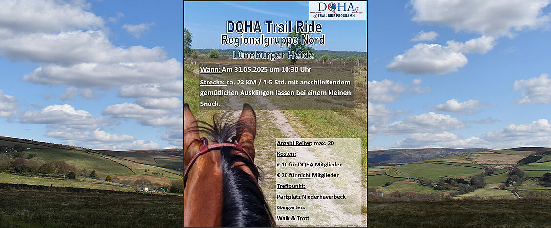 Veranstaltungsankündigung mit Text: „DQHA Trail Ride Regionalgruppe Nord – Lüneburger Heide“. Angaben: „Wann: Am 31.05.2025 um 10:30 Uhr“, „Strecke: ca. 23 km / 4–5 Std. mit anschließendem gemütlichen Ausklingen lassen bei einem kleinen Snack“, „Anzahl Reiter: max. 20“, „Kosten: € 10 für DQHA Mitglieder, € 20 für Nicht Mitglieder“, „Treffpunkt: Parkplatz Niederhaverbeck“, „Gangarten: Walk & Trott“. Im Hintergrund eine Landschaft mit Weg aus Reiterperspektive, oben rechts das Logo „DQHA Trail Ride Programm“.