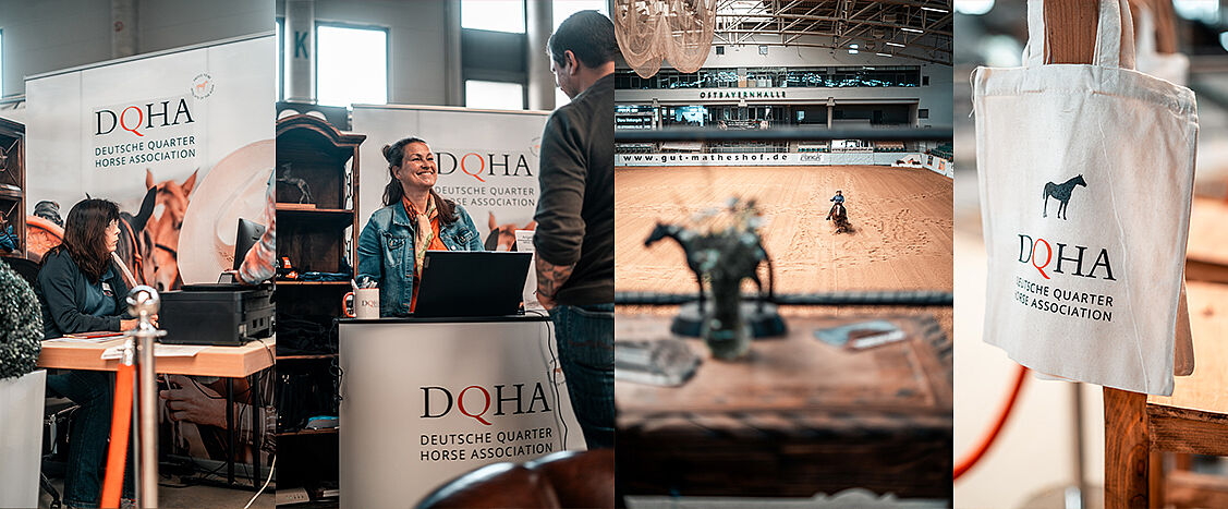 Viergeteilte Bildcollage rund um den DQHA-Infostand auf einem Westernreitturnier: Links beraten zwei Personen an einem Tisch vor einem Banner der Deutschen Quarter Horse Association. Daneben steht eine Mitarbeiterin hinter einem DQHA-Counter und spricht mit einem Besucher. Das dritte Bild zeigt den Blick von einem Tisch in die große Reithalle, in der ein Reiter auf einem Pferd im Sandarena unterwegs ist. Rechts hängt eine helle Stofftasche mit DQHA-Logo an einem Holzpfosten.