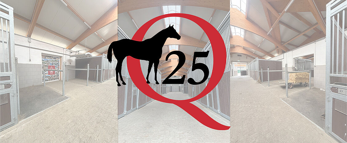 Eine Innenansicht eines modernen Pferdestalls mit breitem Mittelgang und einzelnen Boxen auf beiden Seiten. Über dem Bild liegt ein grafisches Logo: eine schwarze Pferdesilhouette innerhalb eines roten Kreises mit der Aufschrift „Q25“.