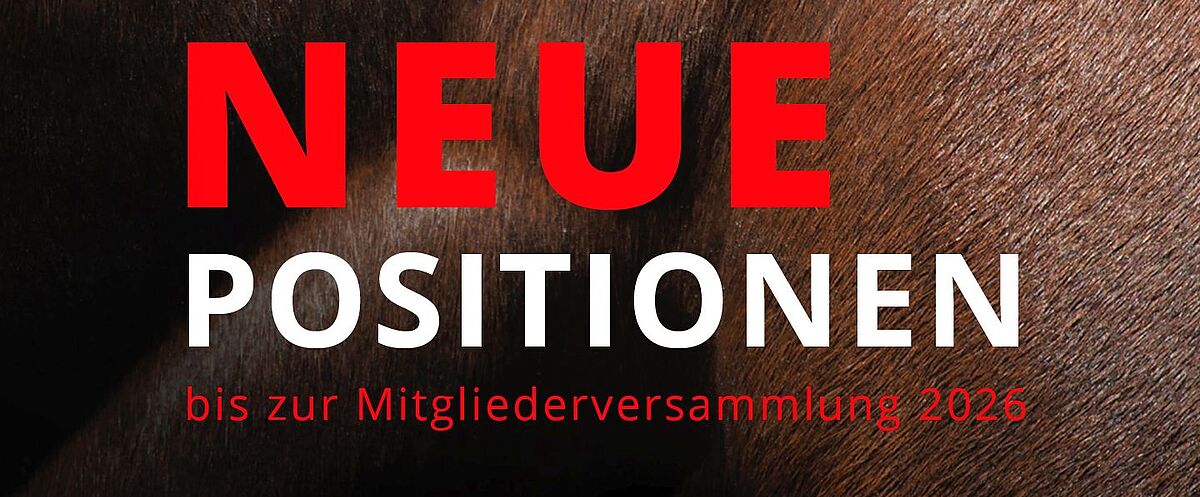 Nahaufnahme von braunem Pferdefell als Hintergrund. Sichtbarer Text: „NEUE POSITIONEN“, „bis zur Mitgliederversammlung 2026“, unten links „DQHA“, unten rechts „NEWS“.
