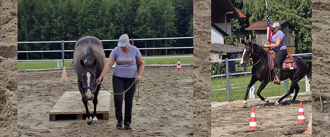 Zweiteilige Bildcollage: links führt eine Person ein dunkles Pferd an einem Strick über eine kleine Holzplattform in einem Sandreitplatz, rechts reitet eine Person ein dunkles Pferd zwischen Pylonen, dabei hält sie eine USA-Flagge; im Hintergrund sind Reitplatzbegrenzungen und Gebäude zu sehen.