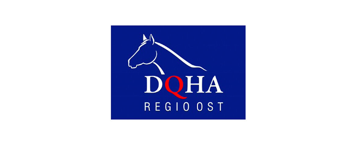 Blaues Logo der DQHA Regio Ost mit stilisiertem Pferdekopf in Weiß. Der Schriftzug „DQHA Regio Ost“ ist mittig platziert, wobei das „Q“ rot hervorgehoben ist.