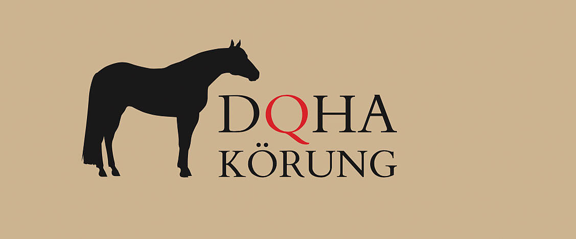 Logo von DQHA Körung mit schwarzer Pferdesilhouette links und dem Schriftzug „DQHA KÖRUNG“ auf beigefarbenem Hintergrund.