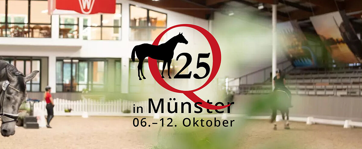 Innenansicht einer Reithalle mit Reitern auf Pferden im Training; mittig ist das Q25-Logo mit Pferdesilhouette eingeblendet sowie der Text „in Münster, 06.–12. Oktober“.