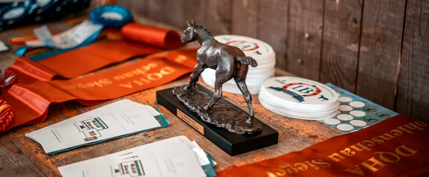 Eine kleine Pferdestatue steht als Trophäe auf einem Tisch, umgeben von Schleifen, Medaillen und Urkunden. Die Szene zeigt vorbereitete Preise für eine Zucht- oder Pferdeshow.
