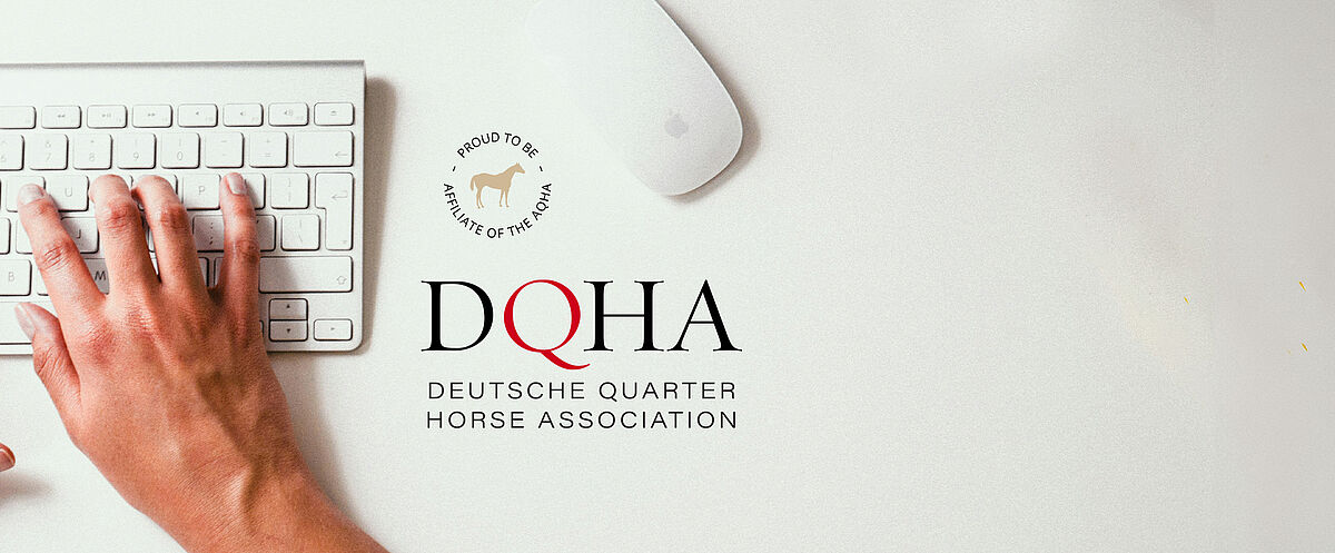 Zwei Hände tippen auf einer weißen Tastatur; daneben steht der Text „DQHA – Deutsche Quarter Horse Association“ sowie „Proud to be affiliate of the AQHA“ mit Pferdesymbol auf hellem Hintergrund.