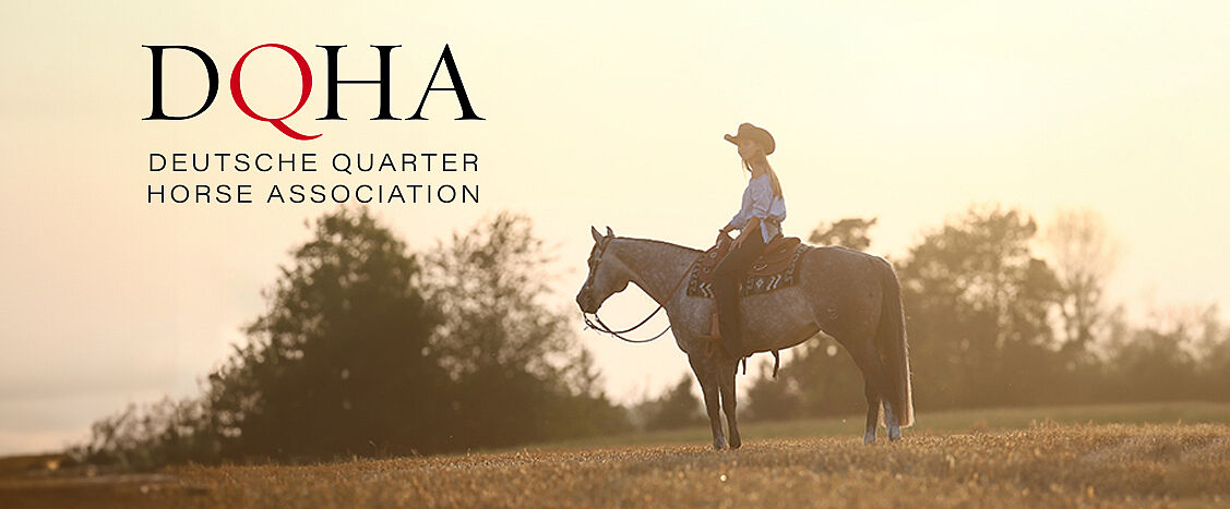 Eine Reiterin sitzt auf einem Pferd in einer weiten Landschaft im warmen Licht der Abendsonne. Links im Bild ist das Logo der Deutschen Quarter Horse Association (DQHA) platziert.